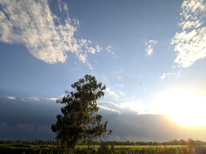 Hdr Sun Tree Andy Sky Stock Image Image Of Storm Blue 139949267