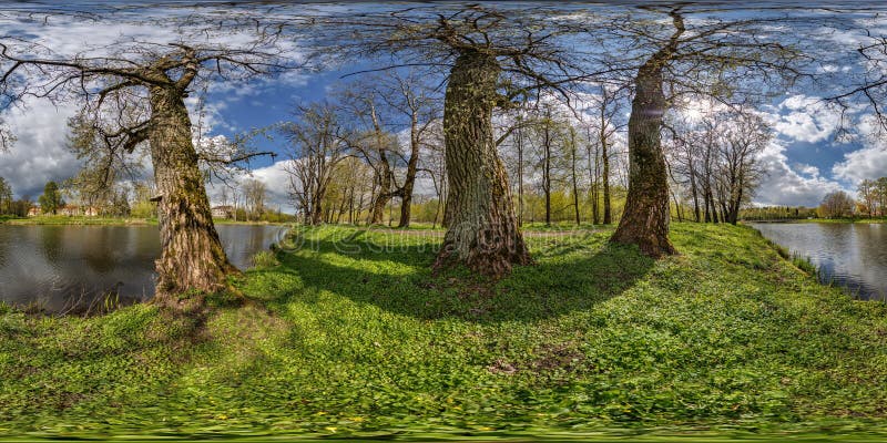 360 hdri panorama view on pedestrian walking path among poplar grove with clumsy branches near lake in full seamless spherical . equirectangular projection with , ready VR AR content.