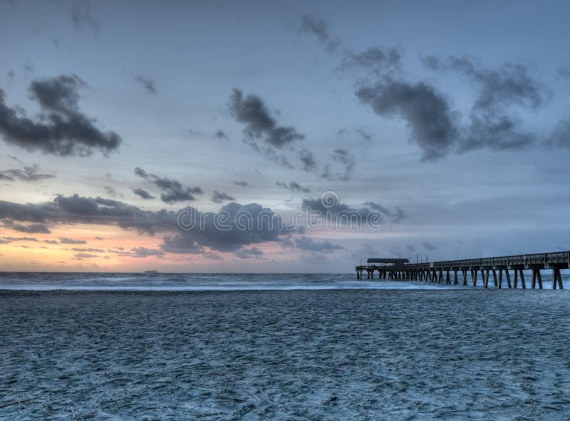 hdrötybee royaltyfri fotografi hdrötybee royaltyfri fotografi