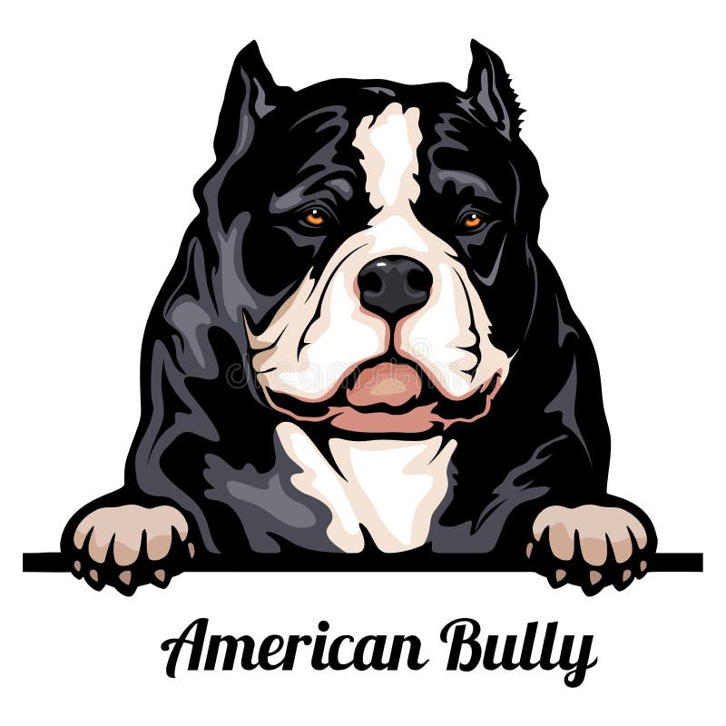 american bully  Bully breeds dogs, Bully dog, Dog breeds