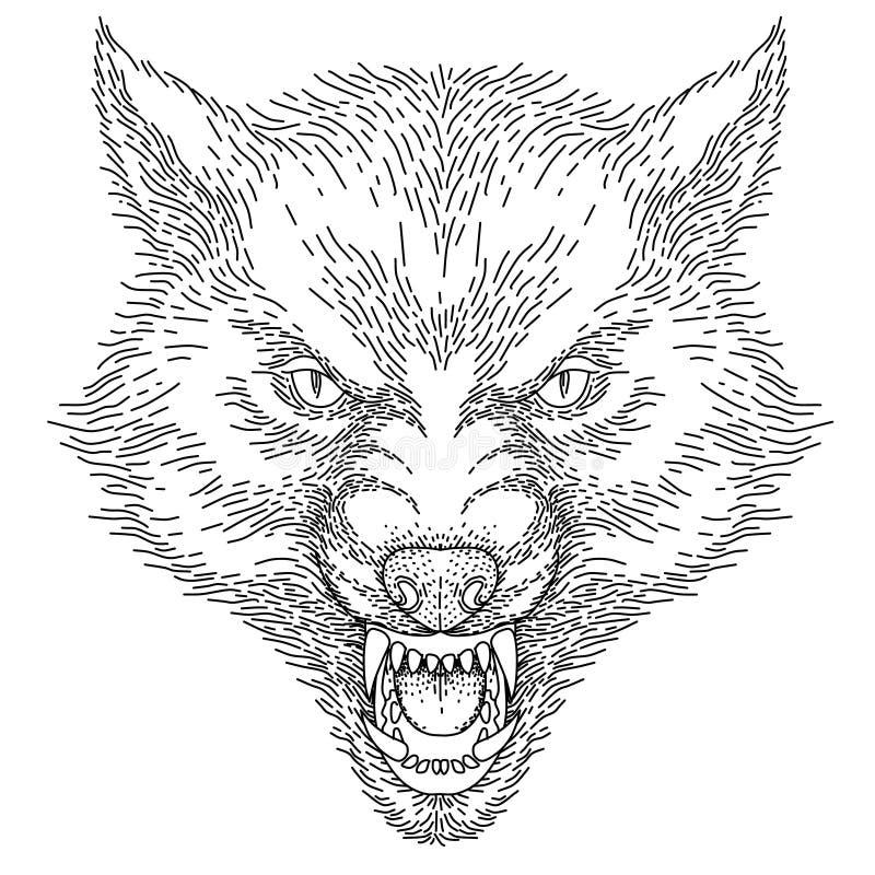 Head Of Roaring Wolf Stock Vector Illustration Of Black