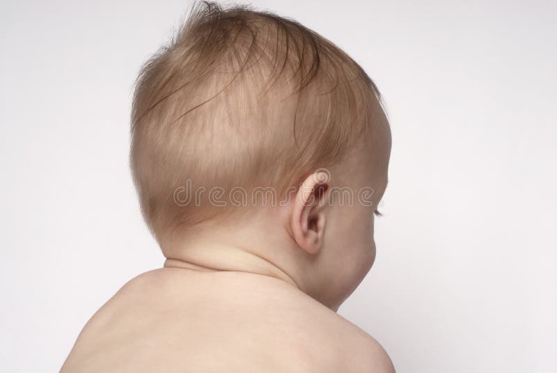 Head of baby (6-12 months) back view