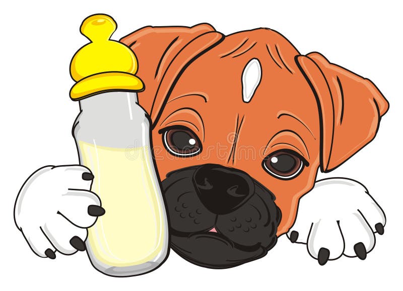 Head of Boxer Dog with Bottle of Milk Stock Illustration - Illustration of  snout, bottle: 83168390