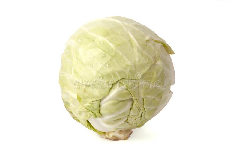 Head of cabbage stock image. Image of plant, healthy 16031907