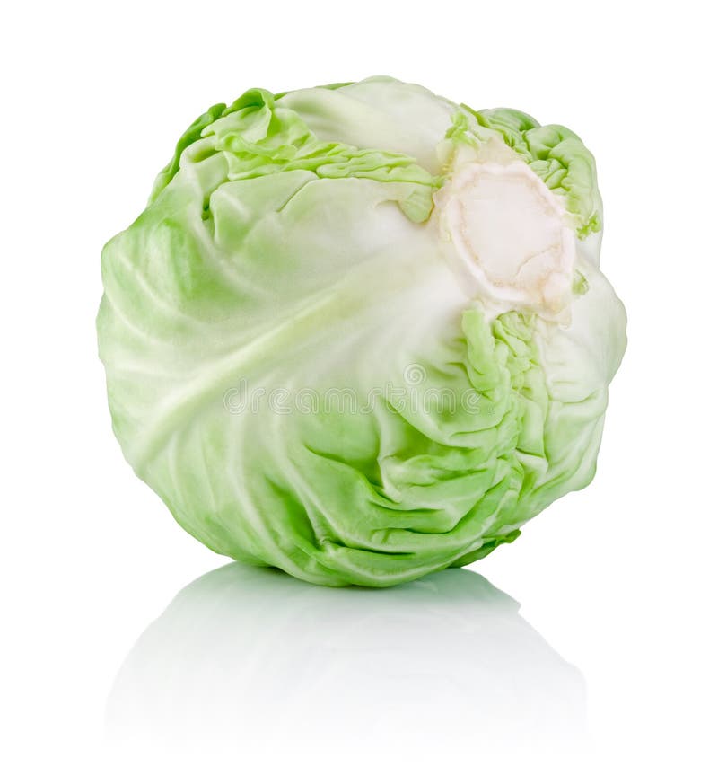 Head Cabbage isolated on white background