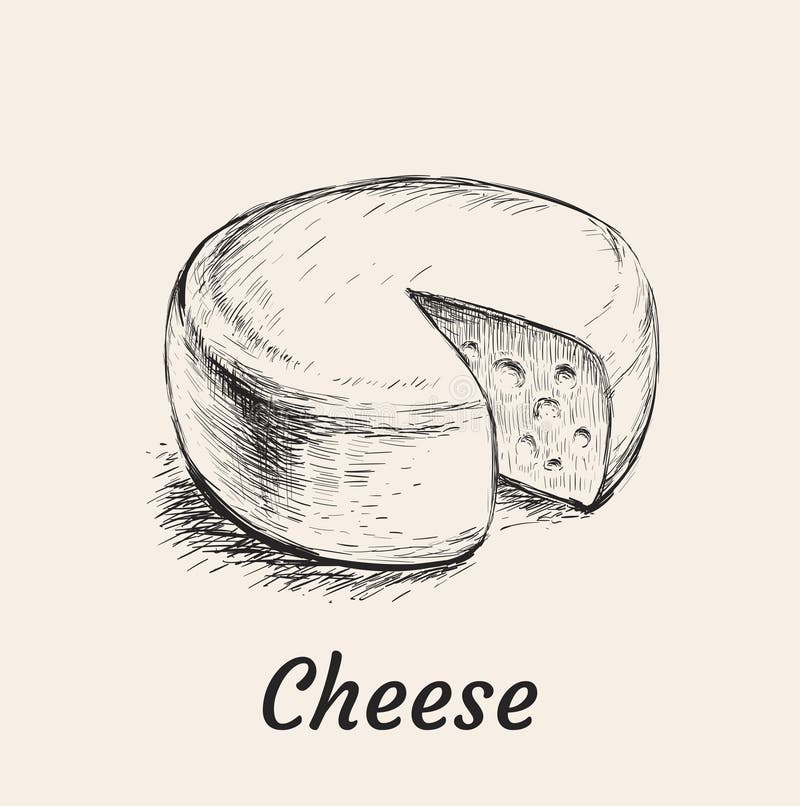 Cheese Head Sketch Food Or Dairy Product Swiss Stock Vector Illustration of breakfast, cheese