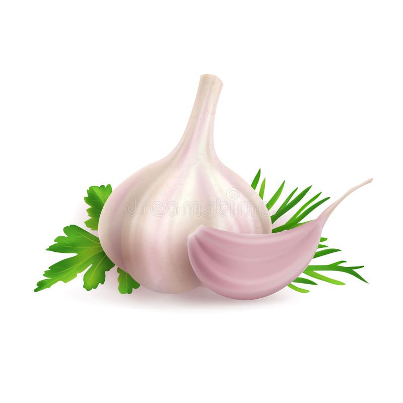 Head and clove of garlic composition