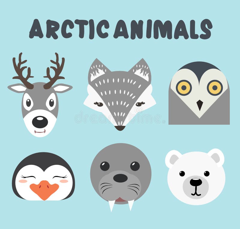 Head cute artic animals stock illustration