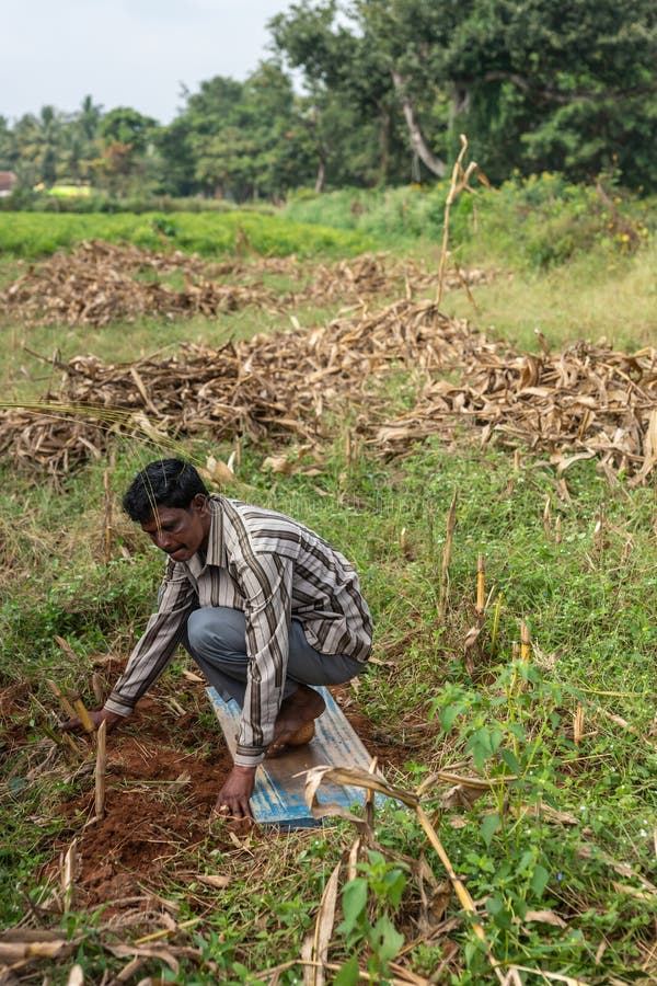 Head driller clears spot where he will drill for water, Belathur. stock photo Head driller clears spot where he will drill for water, Belathur. stock photo