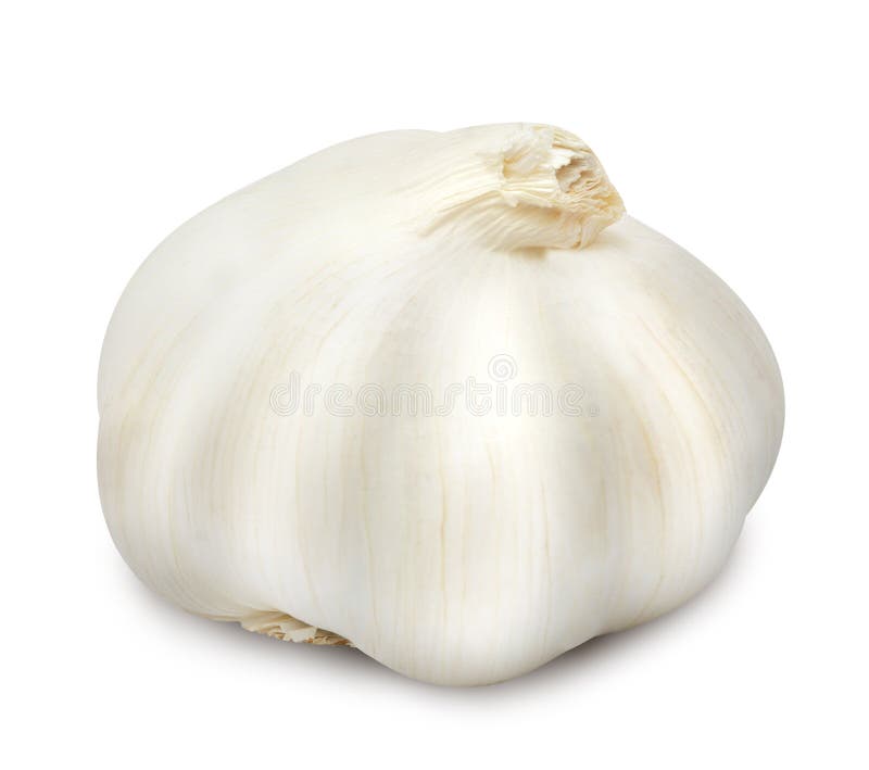 Head of garlic. stock photo. Image of flavorful, healthy 101948132