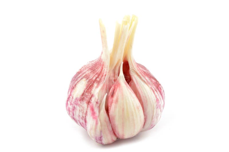 Head of garlic stock photo. Image of healthy, food, spice 31271114