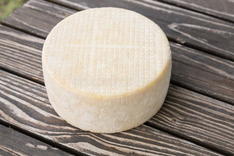 Head of goat cheese stock image. Image of round, natural 48437033
