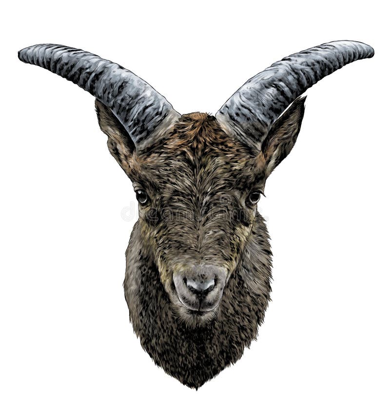 Goat Horns Vintage Stock Illustrations – 637 Goat Horns Vintage Stock  Illustrations, Vectors & Clipart - Dreamstime