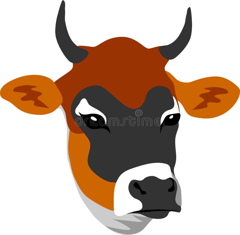 120 Jersey Cow Illustrations RoyaltyFree Vector Graphics  Clip Art   iStock  Jersey cow calf Miniature jersey cow Jersey cow white background