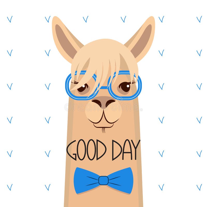 Head of a Lama with a Bang in Blue Glasses and a Bow .Vector Ill Stock  Vector - Illustration of character, llama: 114620234