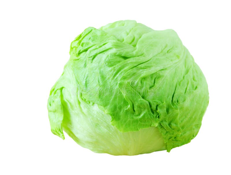 Head Lettuce Royalty Free Stock Photos Image 5120758