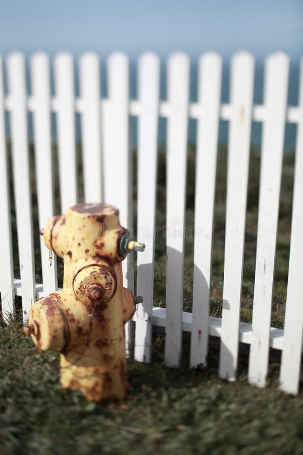 2,263 Fighting Pump Stock Photos Free & RoyaltyFree Stock Photos