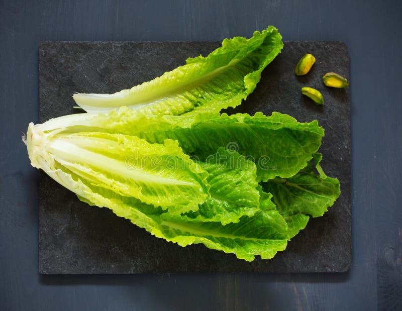 A head of romaine lettuce stock photo. Image of background 28686862