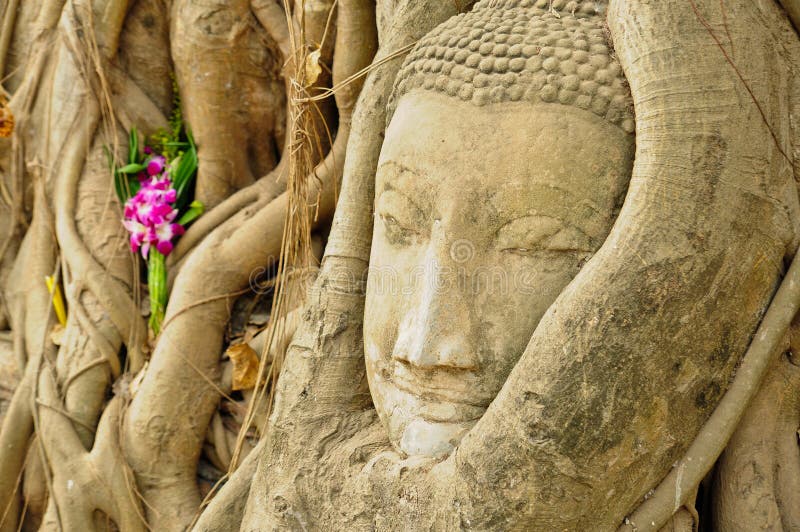 The head of the sandstone buddha