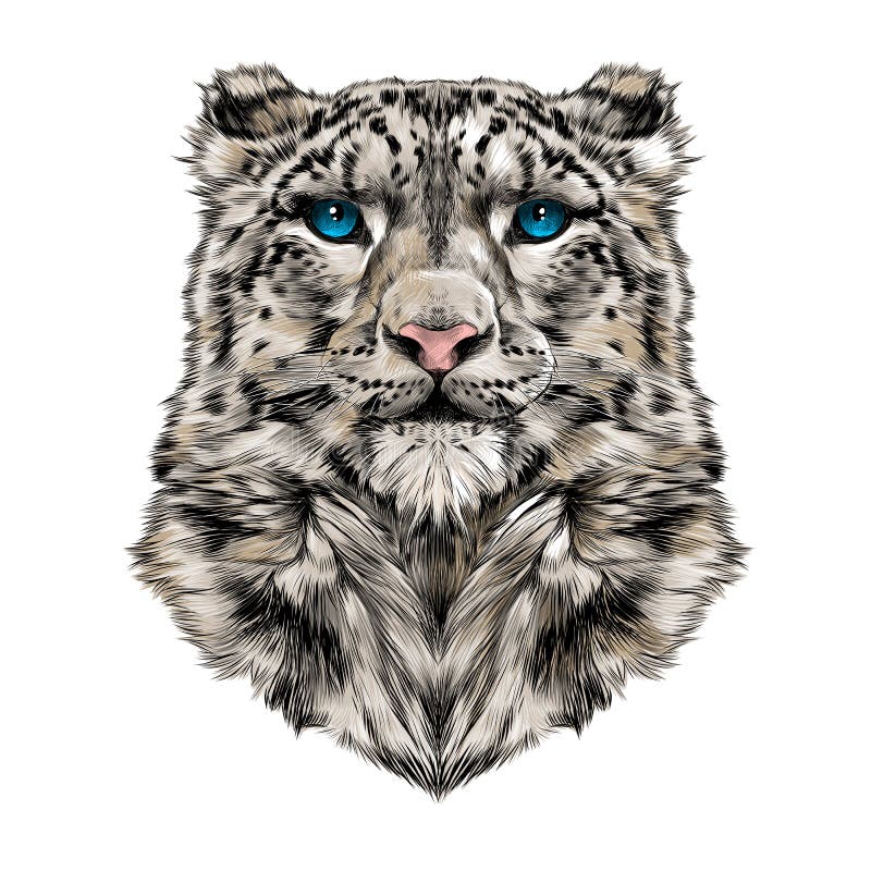 Head of the snow leopard stock vector. Illustration of face - 88110652