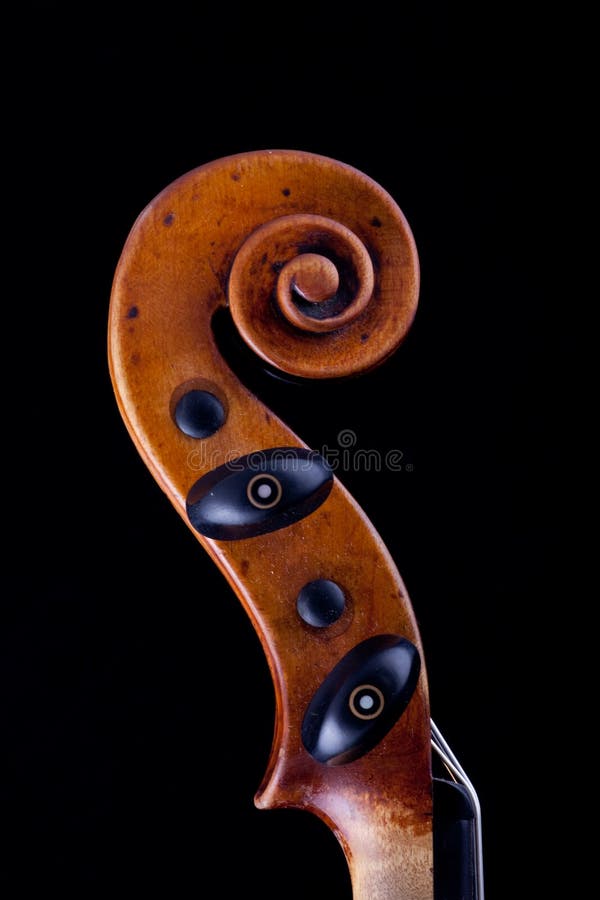 Violin head stock image. Image of quiet, white, strings 10190893