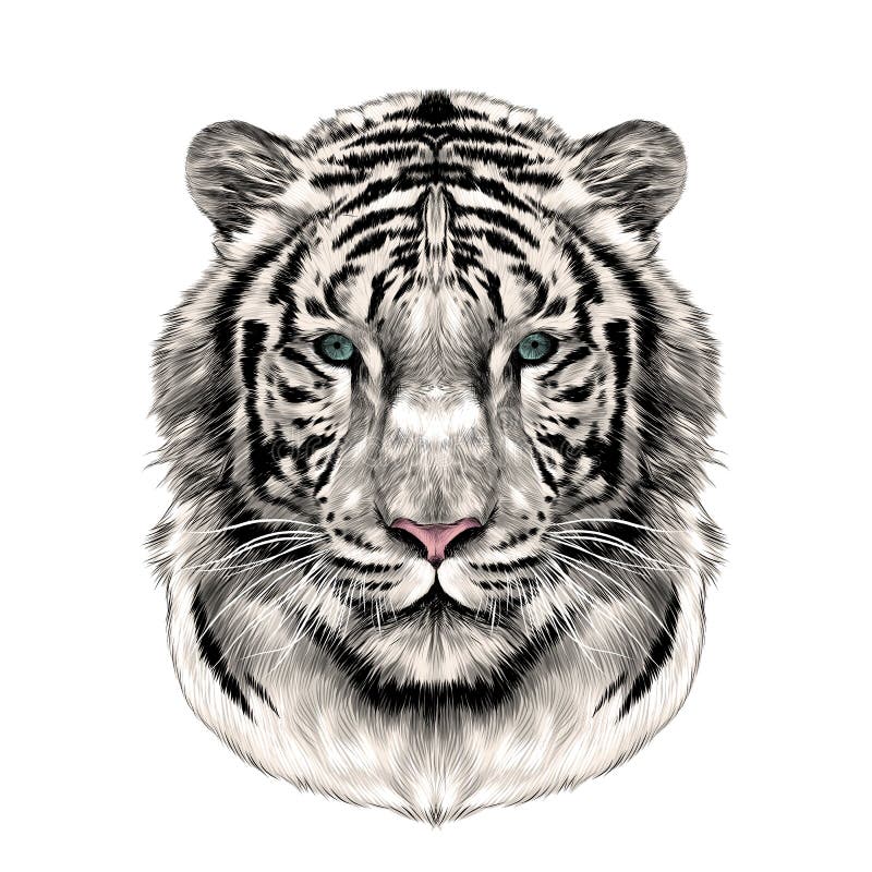 Leopard Head Color, Vector & Photo (Free Trial) | Bigstock