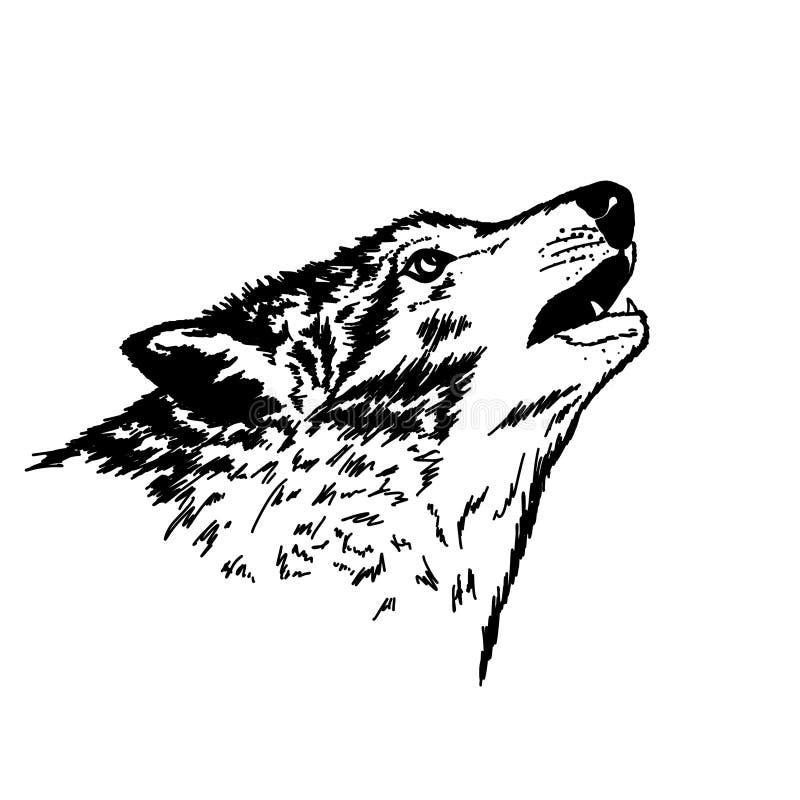 The Head of a Wolf Howling at the Moon Stock Illustration ...