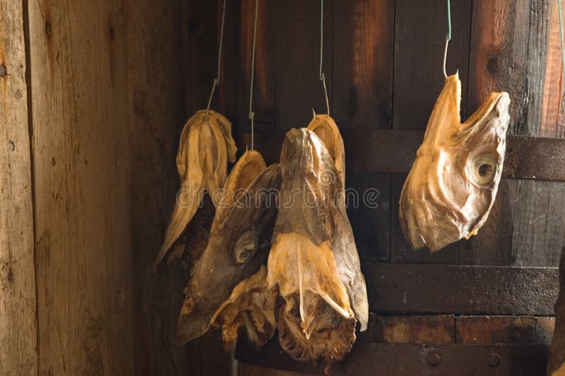 Shaman market, Bamako Mali stock image. Image of healer 10112191