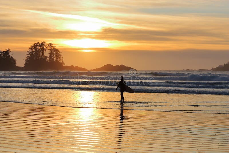 Tofino, Vancouver Island, Heading into the Surf at Sunset on Chesterman Beach on Pacific Coast of British Columbia, Canada