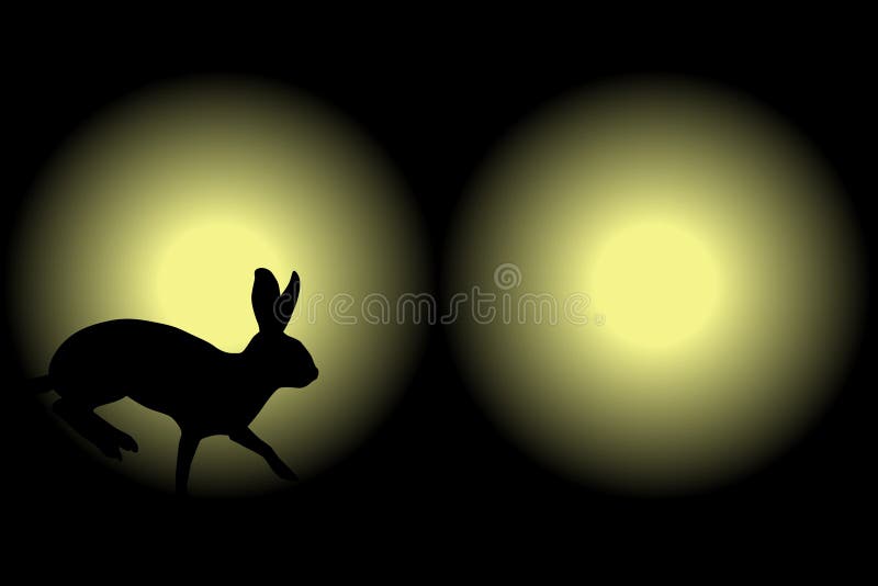 Deer In Headlights Free Clipart