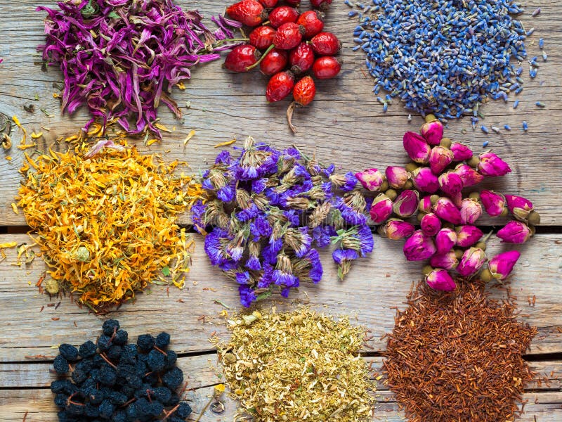 Healing herbs and herbal tea assortment and berries on table.