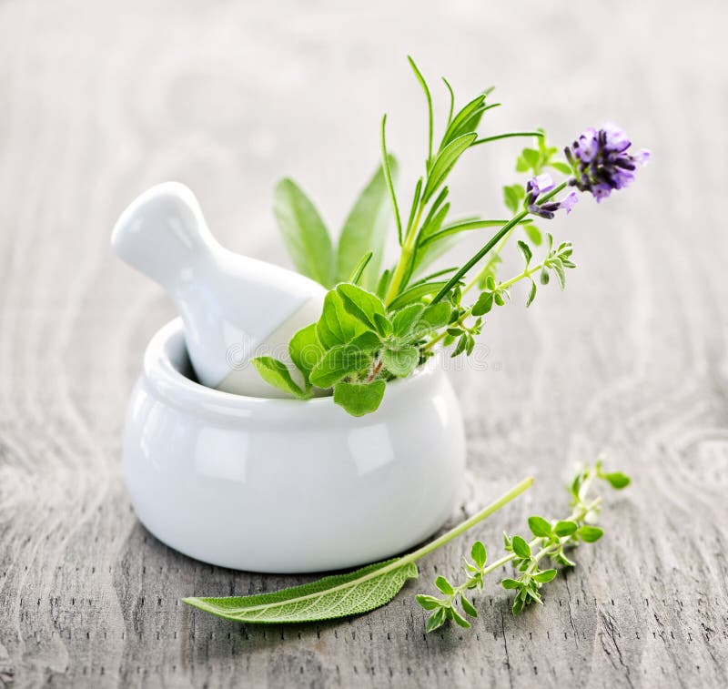 Healing herbs in mortar and pestle