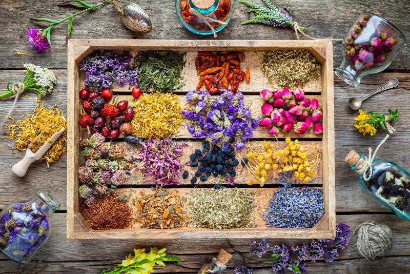 Healing herbs in wooden box, herbal medicine.