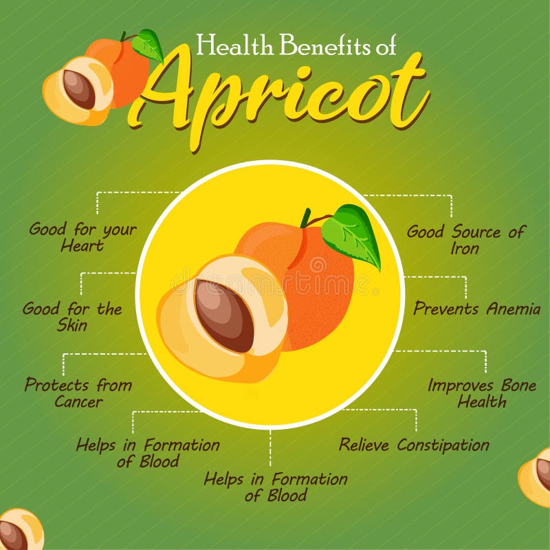 Health Benefits of Apricot. Fresh Fruit. Healthy Fruit To Ear Stock
