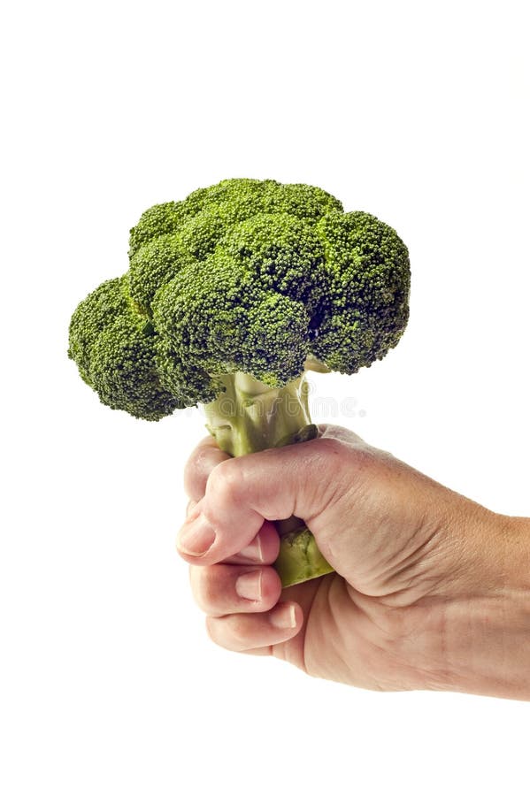 Health Delicious Broccoli In Hand