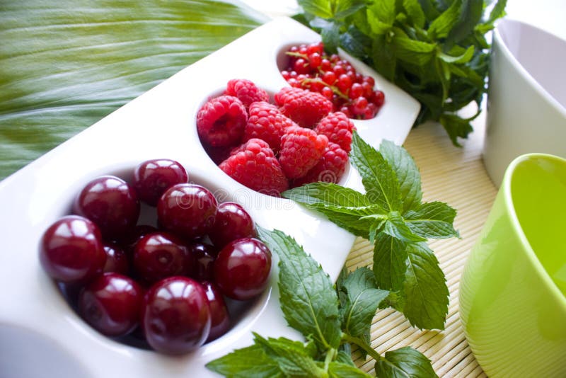 Fruit in small portions with 2 sets of mint leaves on one side. Dessert portions stock images, royalty-free photos and pictures