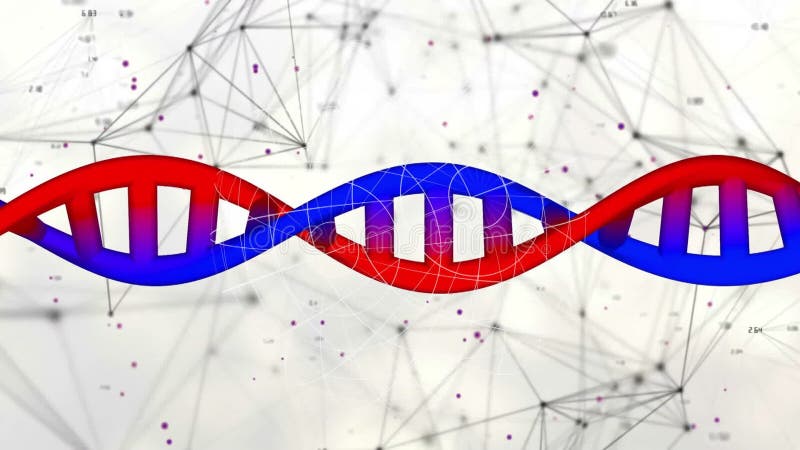 Health researcher analyzing digital DNA helix on light backdrop, showing network nodes and labels stock footage