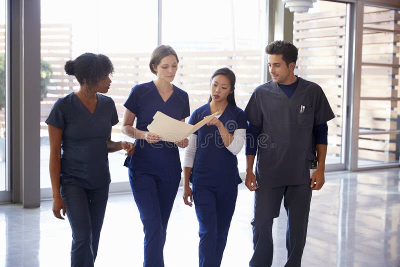 Healthcare colleagues discussing notes in hospital corridor royalty free stock photos Healthcare colleagues discussing notes in hospital corridor royalty free stock photos