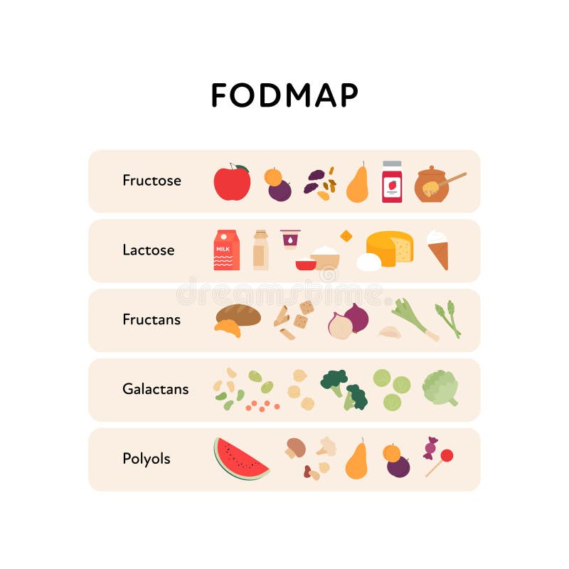 Fodmap Diet Stock Illustrations – 54 Fodmap Diet Stock Illustrations ...