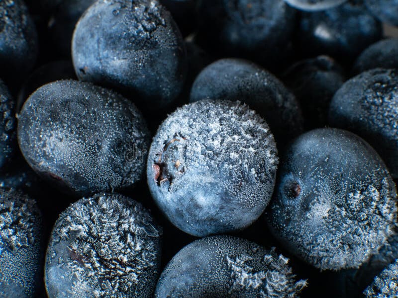 Healthy Breakfast: Close Up of Frozen Blueberries with Ice Crystals ...