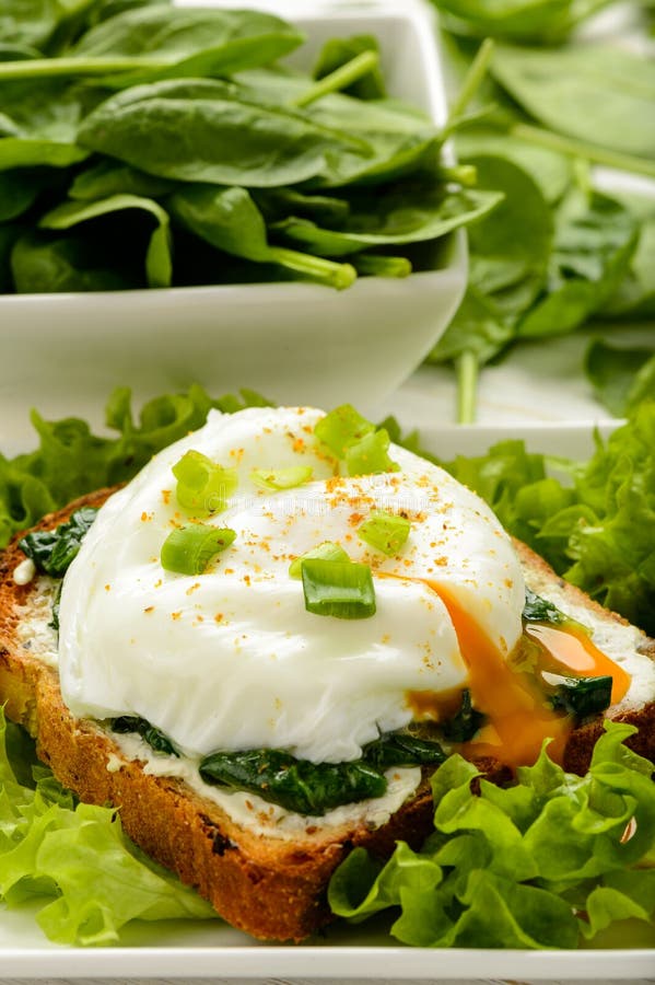 Healthy Breakfast Sandwich with Creme Cheese, Spinach and Egg. Stock