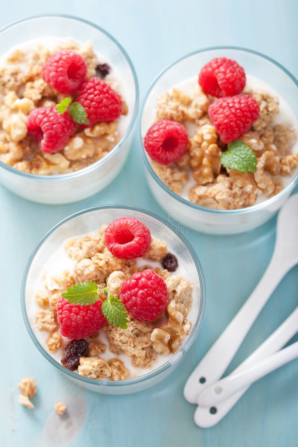 Healthy Breakfast with Yogurt Granola and Raspberry Stock Image Image