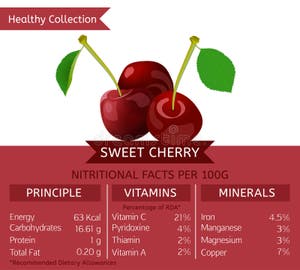 Cherry Nutrition Facts Cherry Fruit With Information Cherry Vector Stock Vector Illustration Cherry Nutrition Facts Cherry Fruit With Information Cherry Vector Stock Vector Illustration
