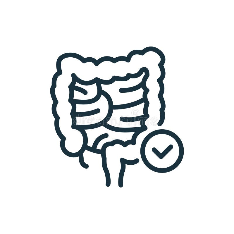 Healthy Colon Line Icon. Internal Digestive Human Organ Outline Icon ...