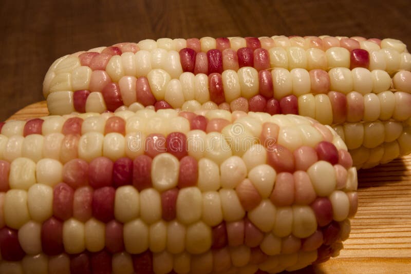 Healthy and Colorful Vegetable Waxy Corns Stock Image Image of