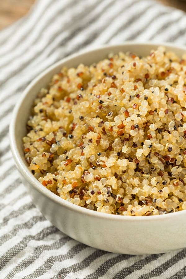 Healthy Cooked White Quinoa Stock Image Image of superfood, seed 210611413