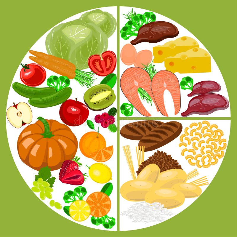 Healthy Eating Food Plate. Nutrition Balance. Stock Vector ...