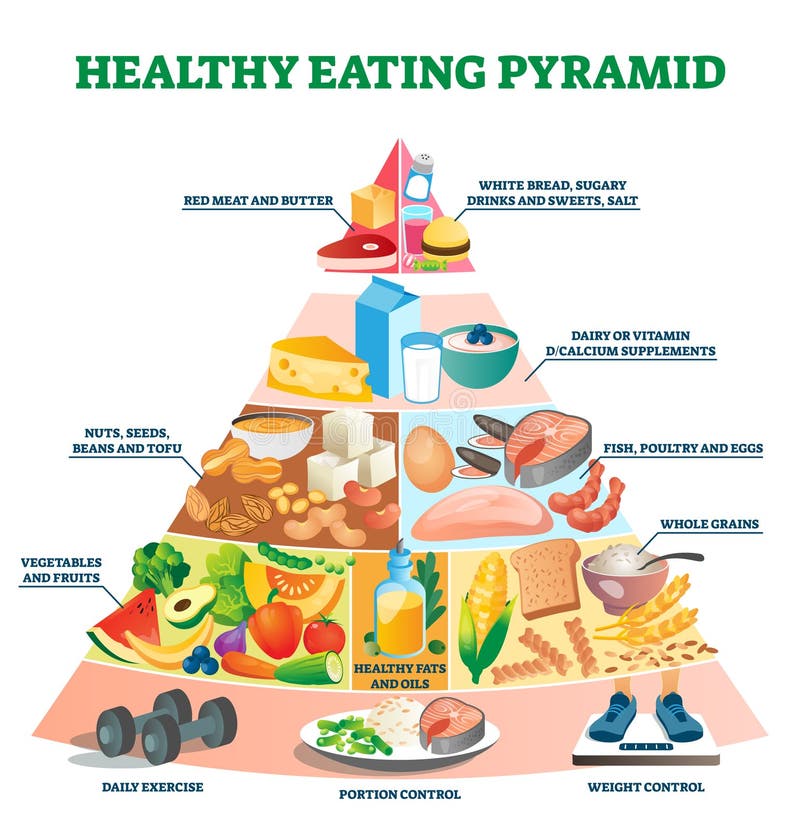 Healthy Eating Pyramid Vector Illustration. Labeled Explanation Food ...
