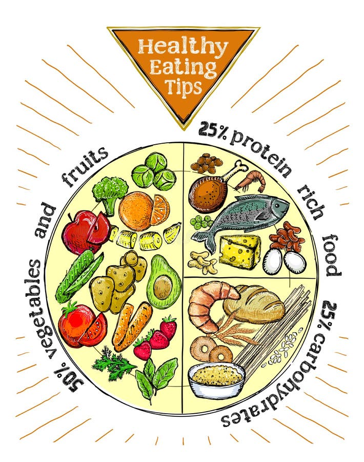 Healthy Eating Plate. Infographic Chart With Proper Nutrition Proportions. Food  Balance Tips. Vector Illustration Isolated On A Light Beige Background.  Royalty Free SVG, Cliparts, Vectors, and Stock Illustration. Image 99519204.