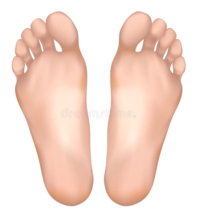 Healthy feet. stock illustration